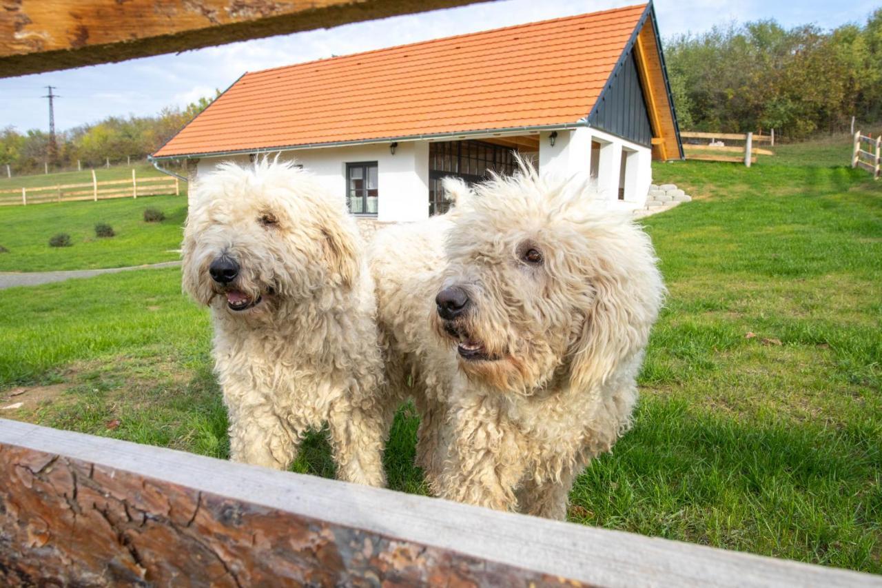 Kishosszúrét Vendégház Pécsvárad Exterior foto